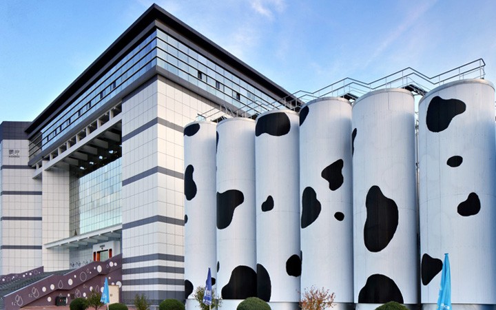 從單一申請到復合業務委托，三聚陽光贏得蒙牛好評